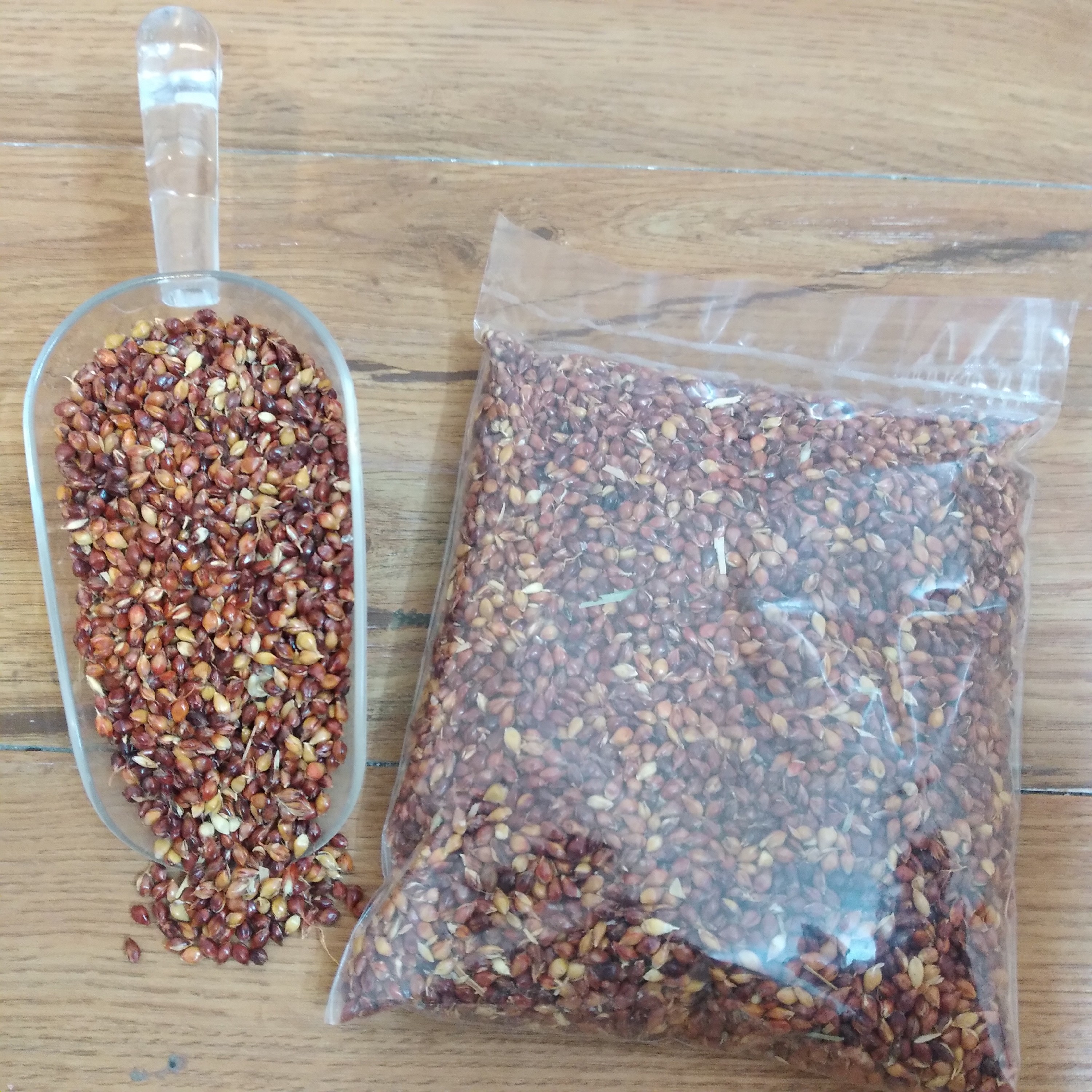 تخم جارو غذای کبوتر و پرندگان زینتی ( بسته 100 گرمی)