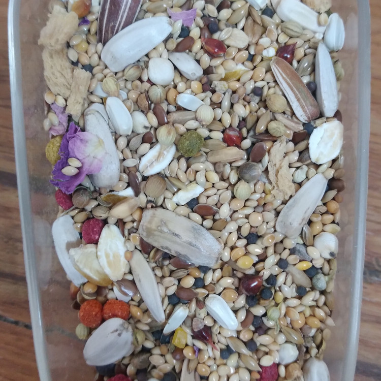 دان مخلوط عروس هلندی و طوطی (بسته 250 گرمی)