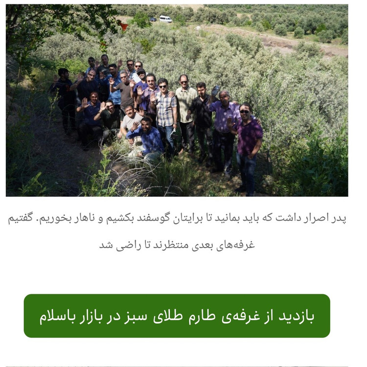 یکونیم لیتر روغن زیتون پرس سرد(فرافرابکر) اول فصل مستقیم از باغدار زیتون شهرستان طارم علیا