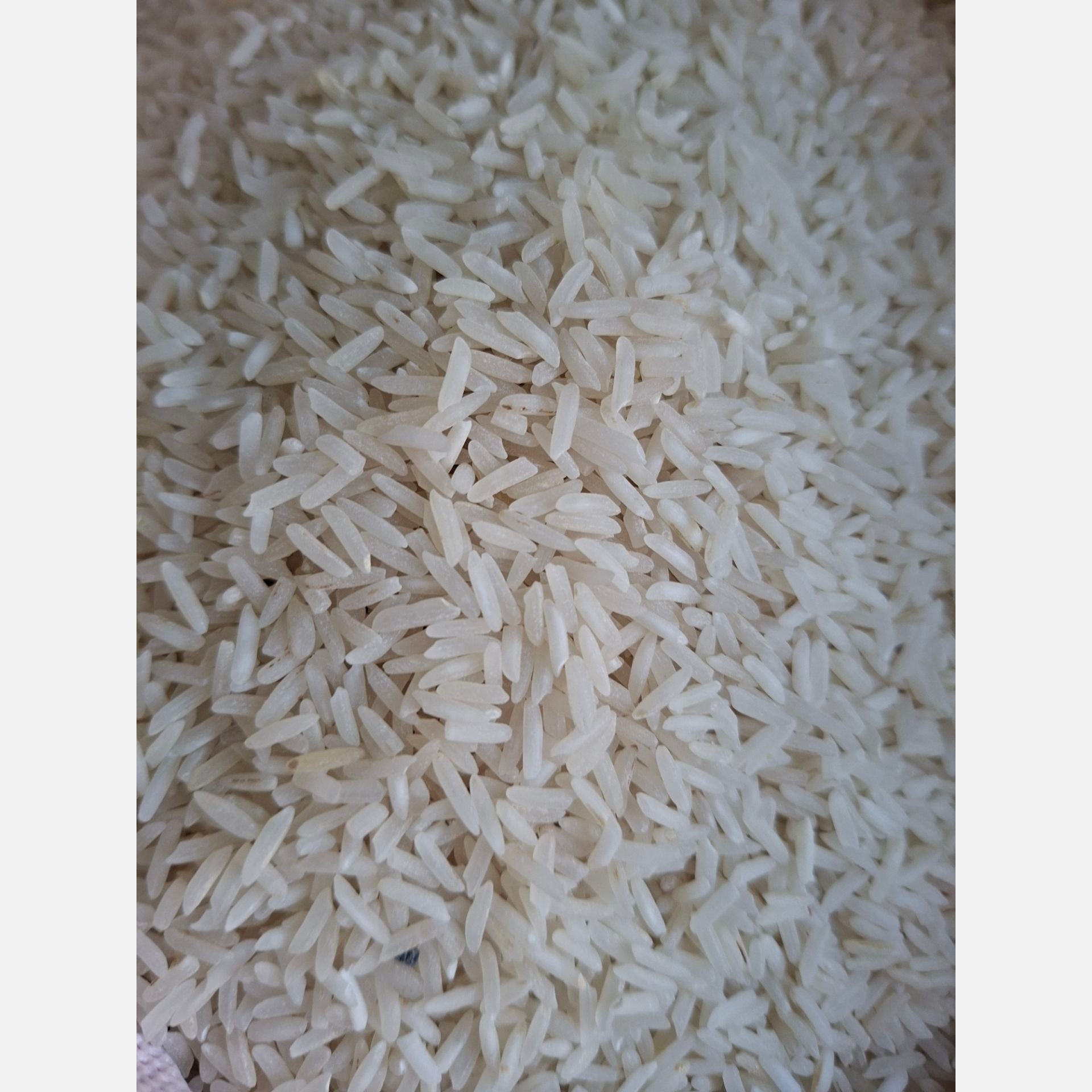 برنج پاکستانی باسماتی 386 حسن با ارسال رایگان(10کیلوگرم)