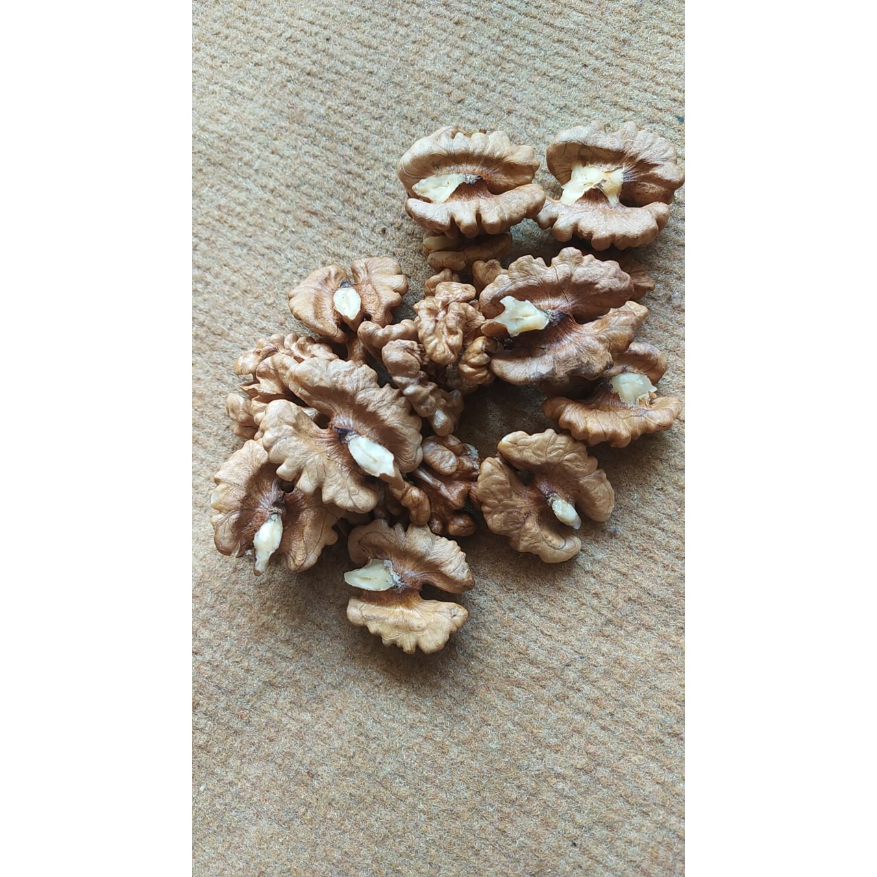 مغز فسنجونی بدون هبچ گونه خرابی