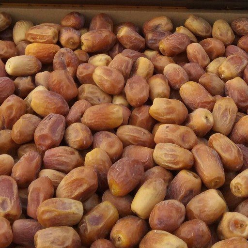 خرما زاهدی قصب درجه یک برداشت امسال