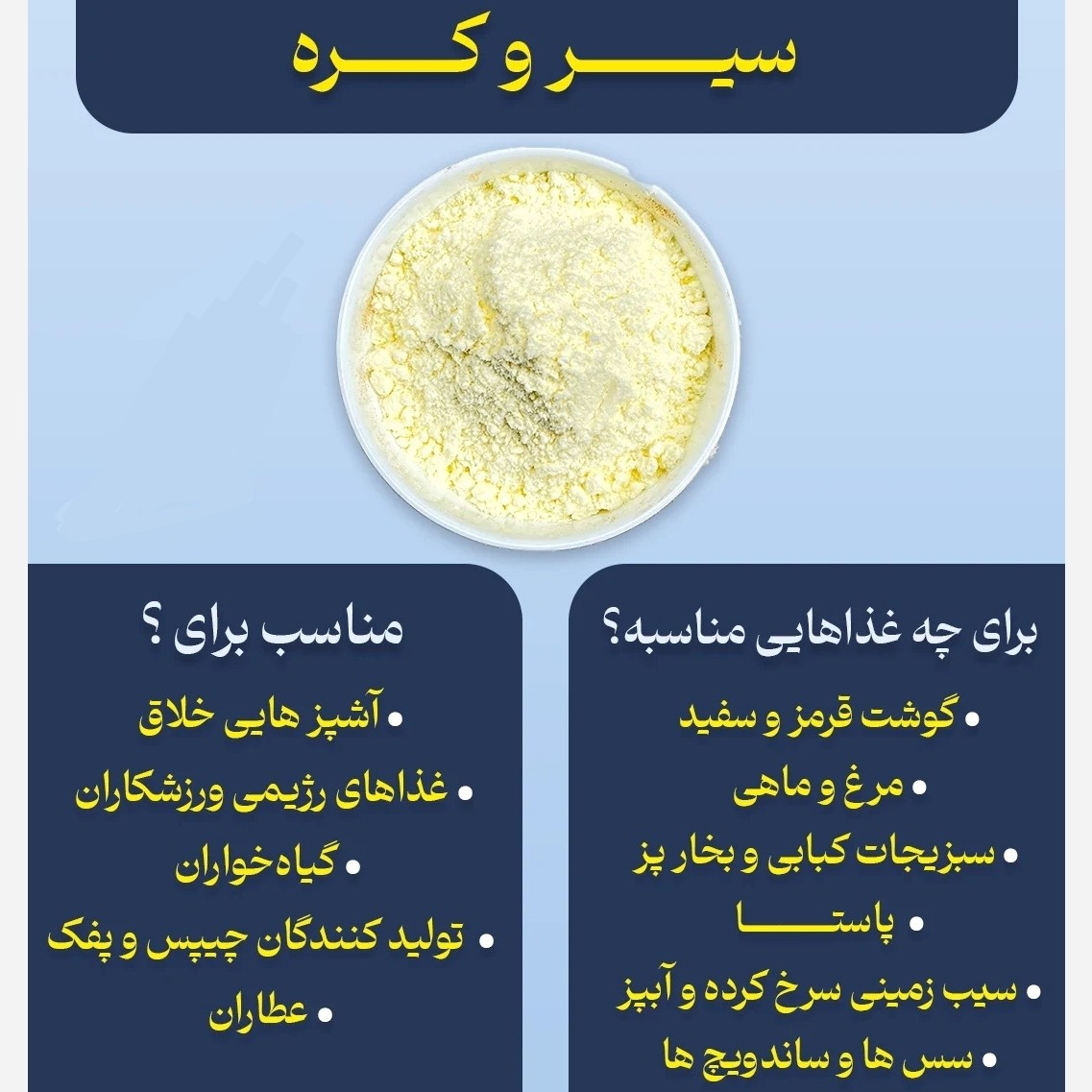 ادویه سیر و کره 100 گرم (مرینیت گوشت و کباب)
