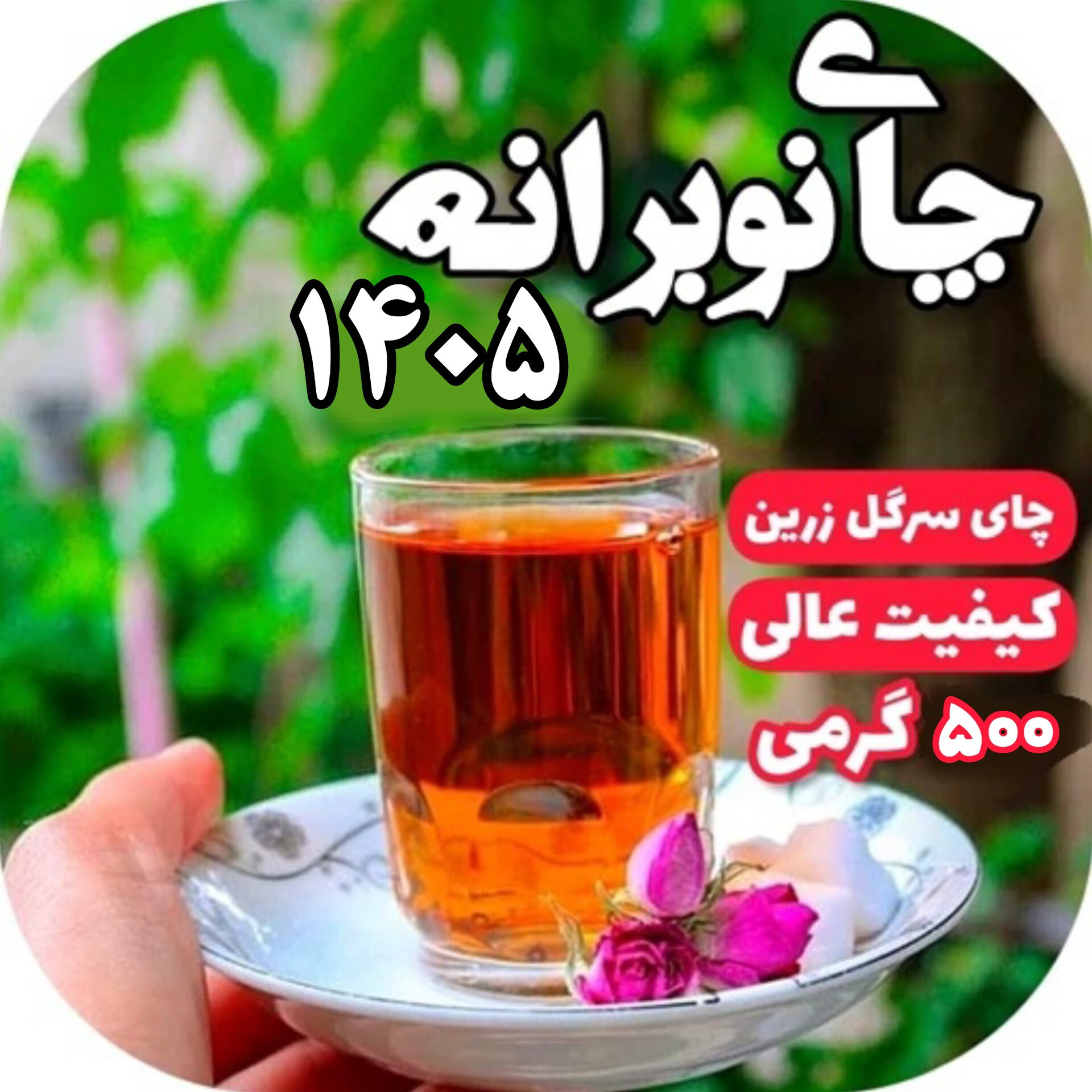 چای لاهیجان سیاه سرگل زرین ممتاز بهاره 500 گرمی تضمین کیفیت و اصل بودن محصول تازه چای بهاره