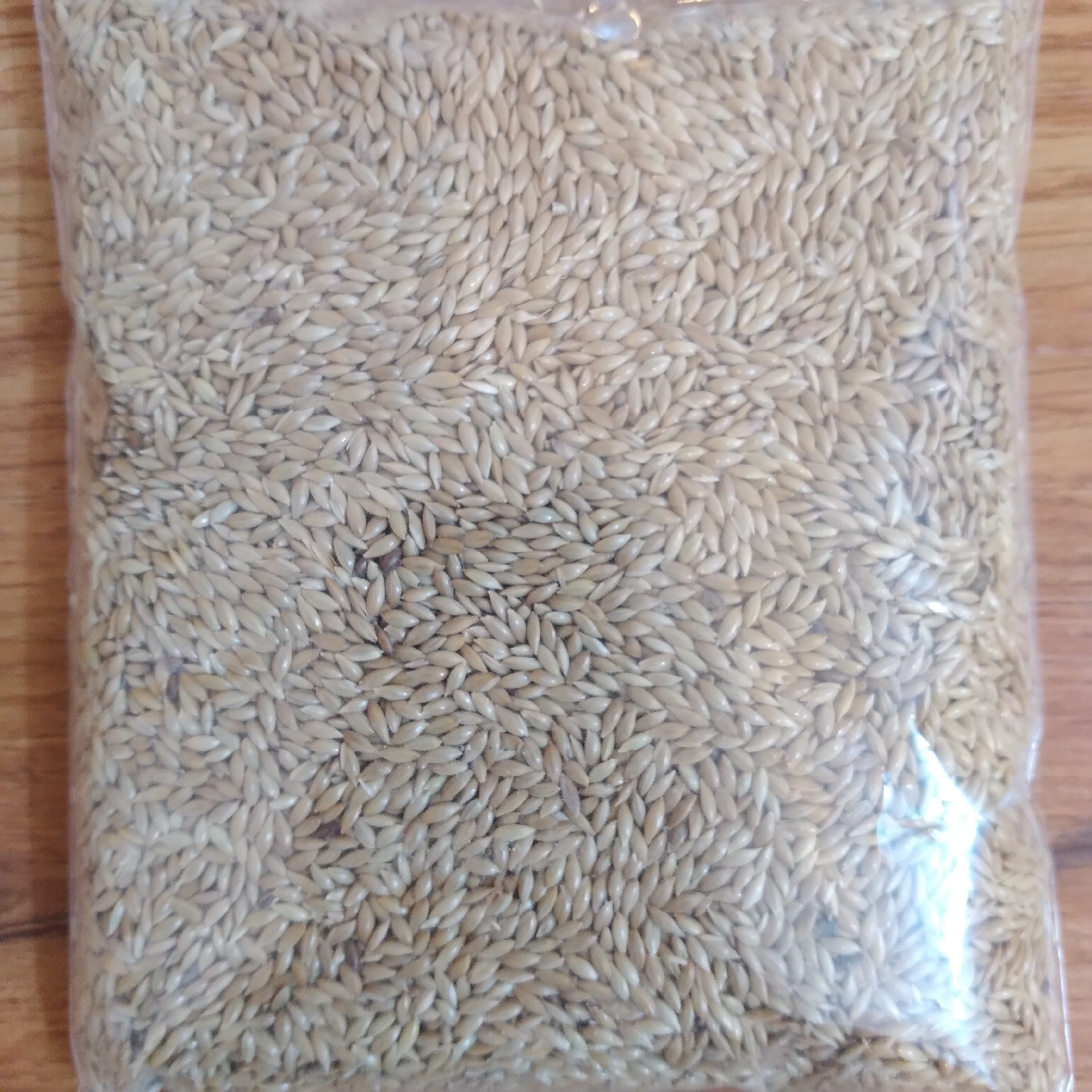 غذای طوطی و پرنده تخم کتان ( 100 گرمی)