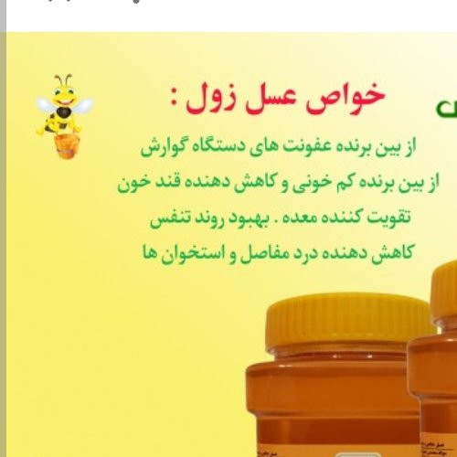 عسل زول چوچاق بوقناق طبیعی 1 کیلویی سبلان (مستقیم از زنبور دار )