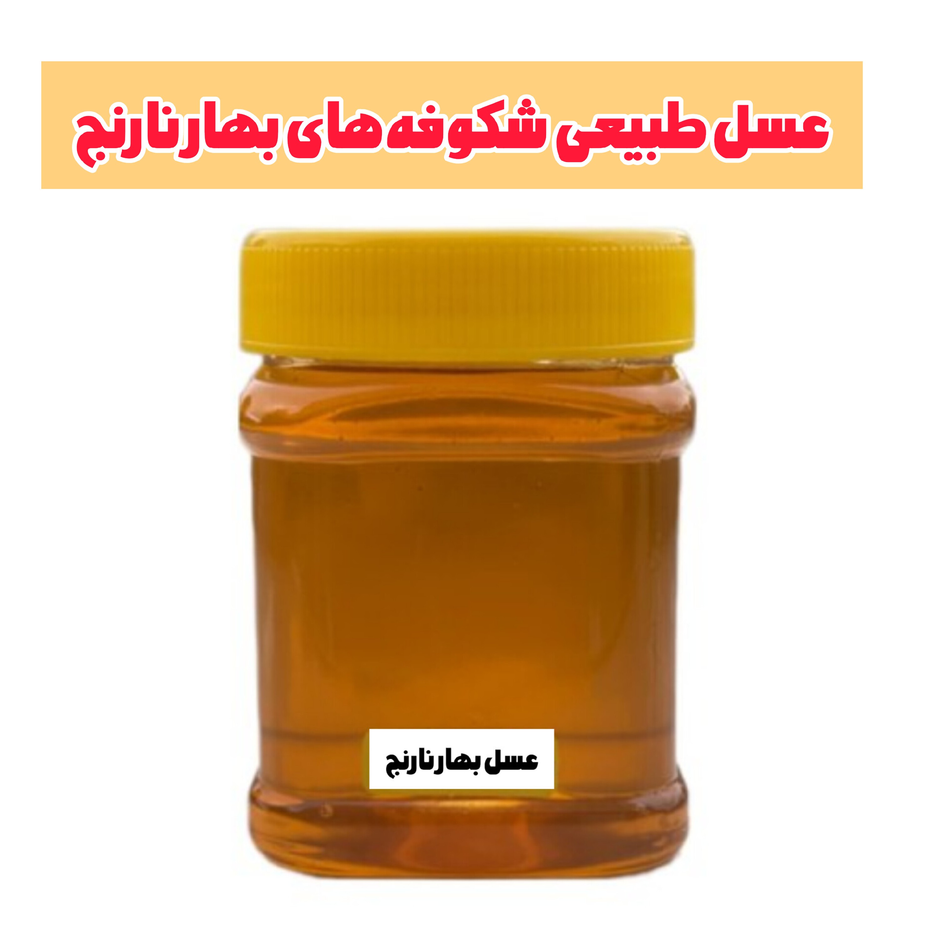 عسل بهارنارنج برداشت اردیبهشت (نیم کیلویی) خرید از زنبوردار