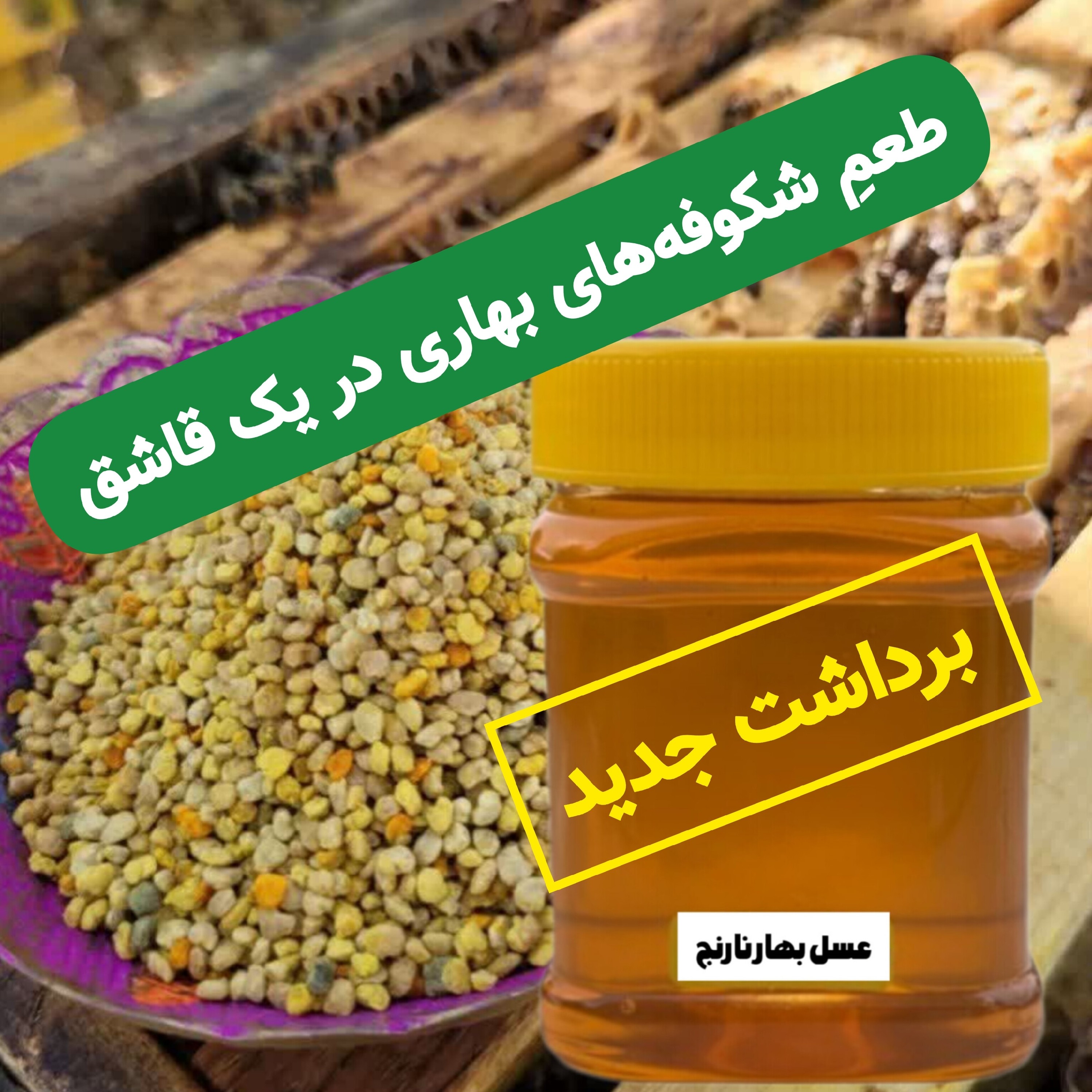 عسل بهارنارنج برداشت اردیبهشت (نیم کیلویی) خرید از زنبوردار