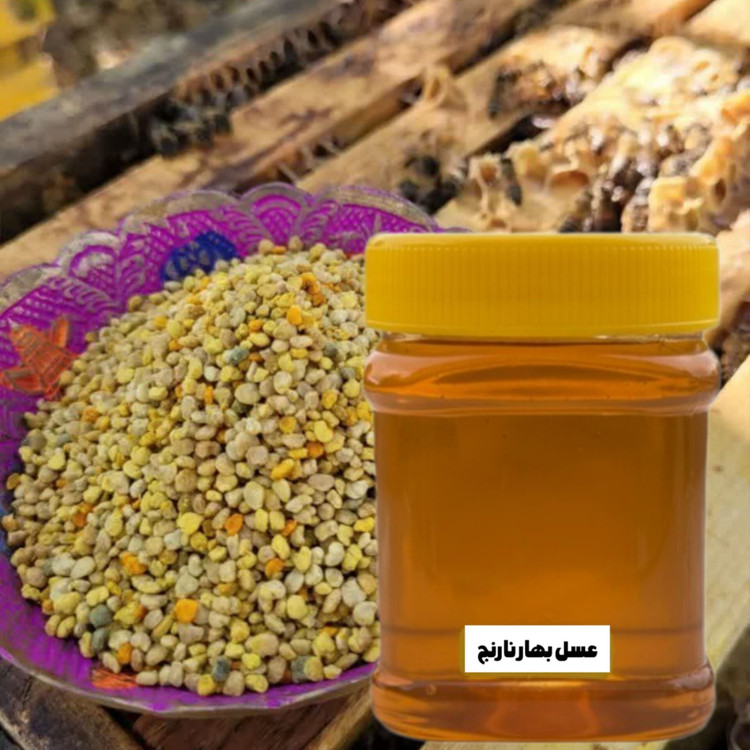 عسل بهارنارنج برداشت اردیبهشت (نیم کیلویی) خرید از زنبوردار