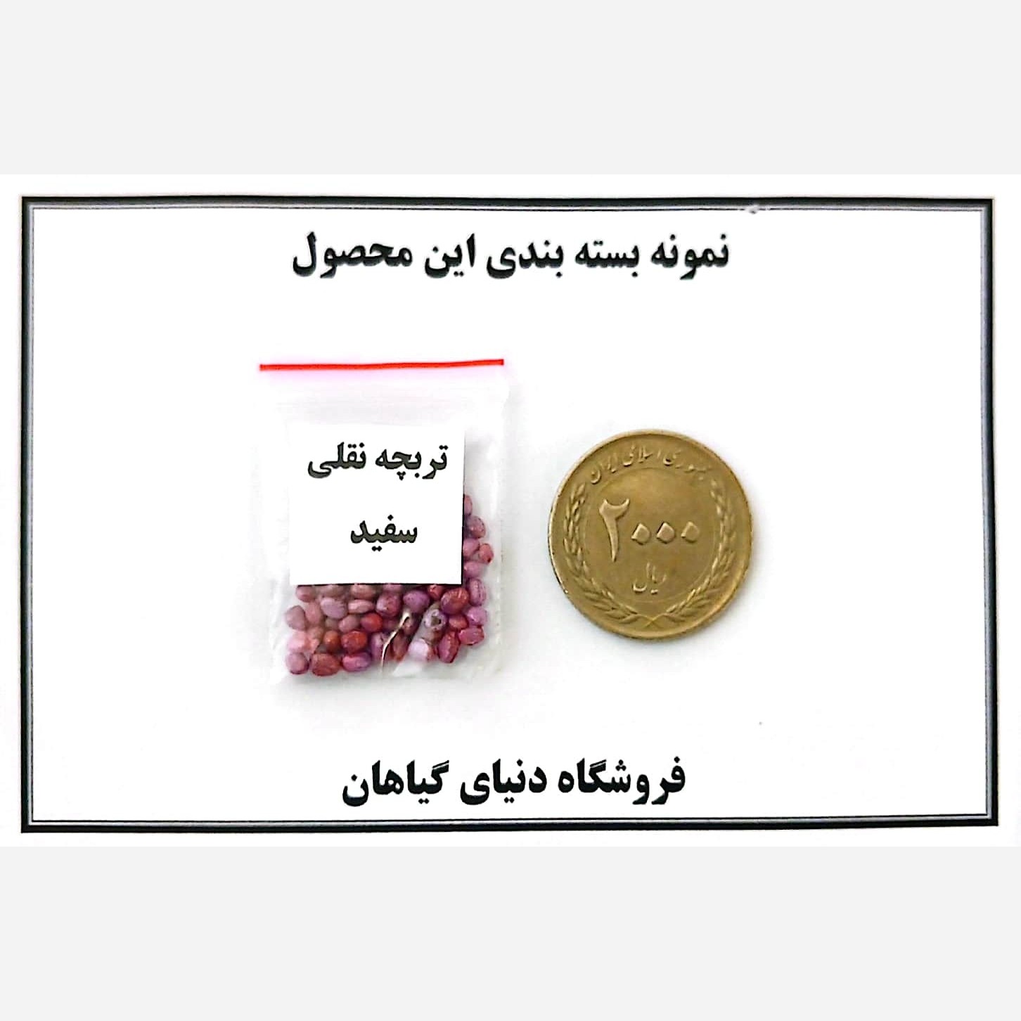 بذر تربچه نقلی سفید(30 عددی)