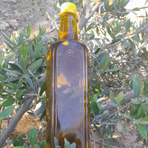 روغن زیتون خالص 6 لیتری( فرابکر بابو پرس سرد)با تضمین قیمت و ضمانت کیفیت به قیمت عمده از باغدارخریدکنید روغن زیتون خالص