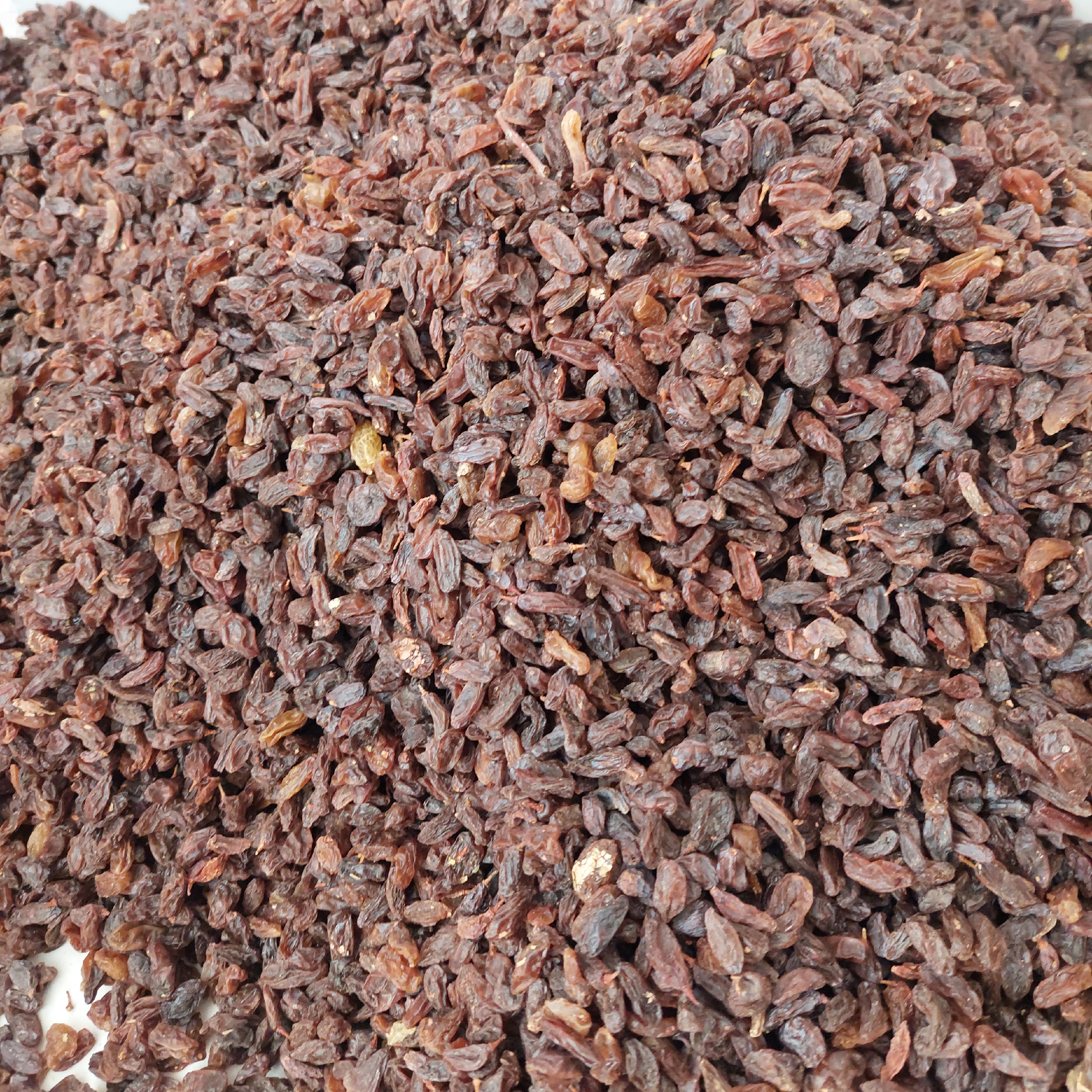 کشمش آفتابی و آبگیری کاشمر درجه یک