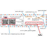 خزه جنگلی ( فضای 40 در 40 سانت ) حلزون و گیاه ( هزینه پستی بر عهده مشتری )