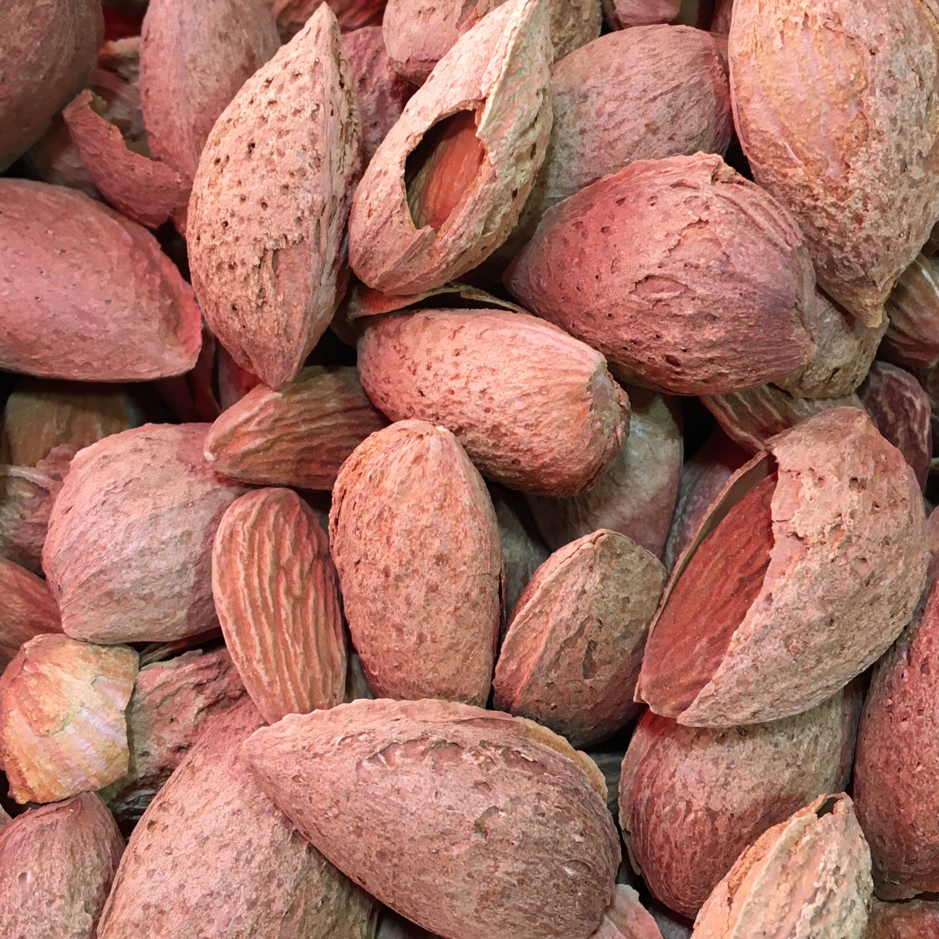 بادام منقی خام( پوست کاغذی)250 گرم
