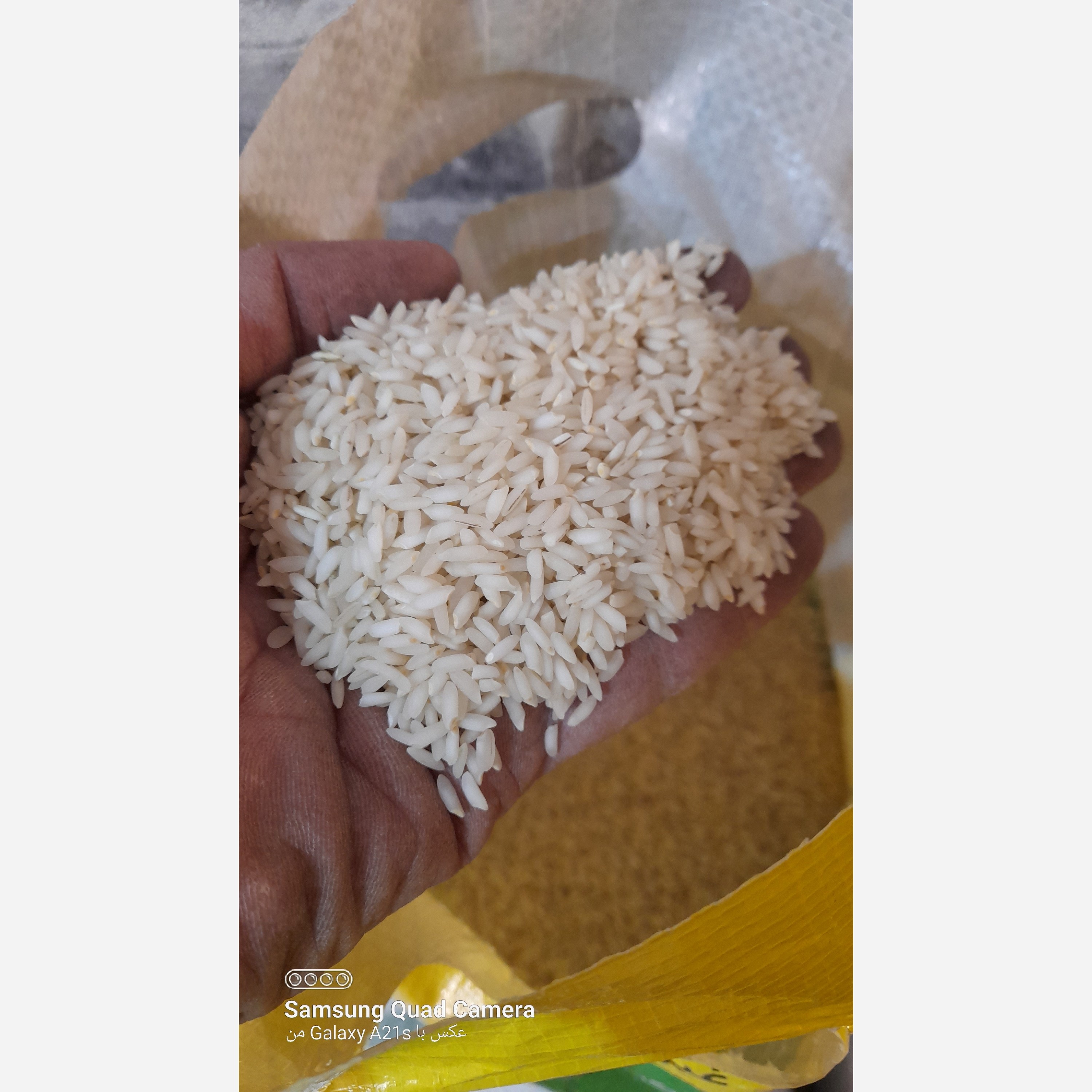 عنبر بو حاج احمد(ارسال رایگان 2 کیسه ب بالا)