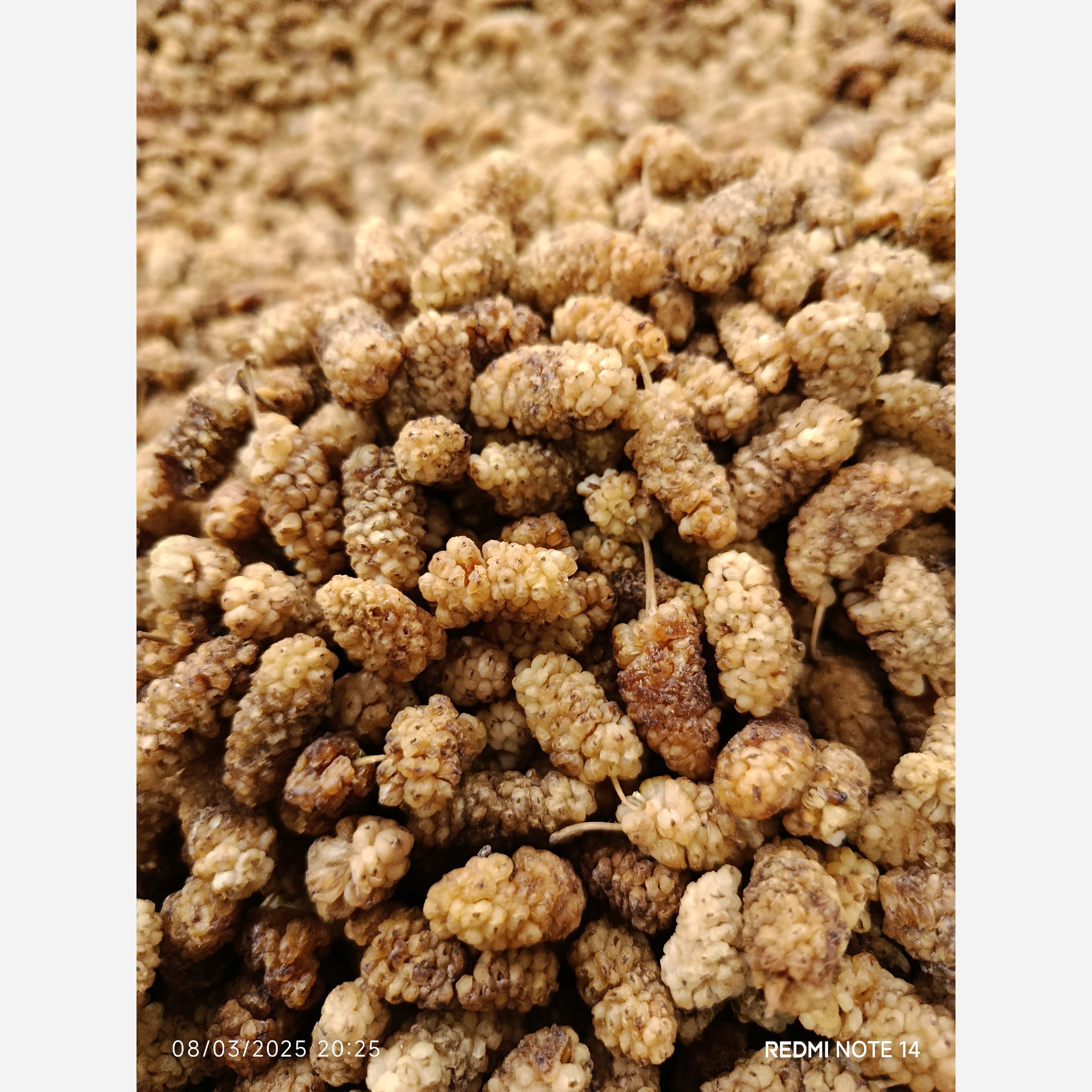 توت خشک درجه 1 (یک کیلویی)محصول1405