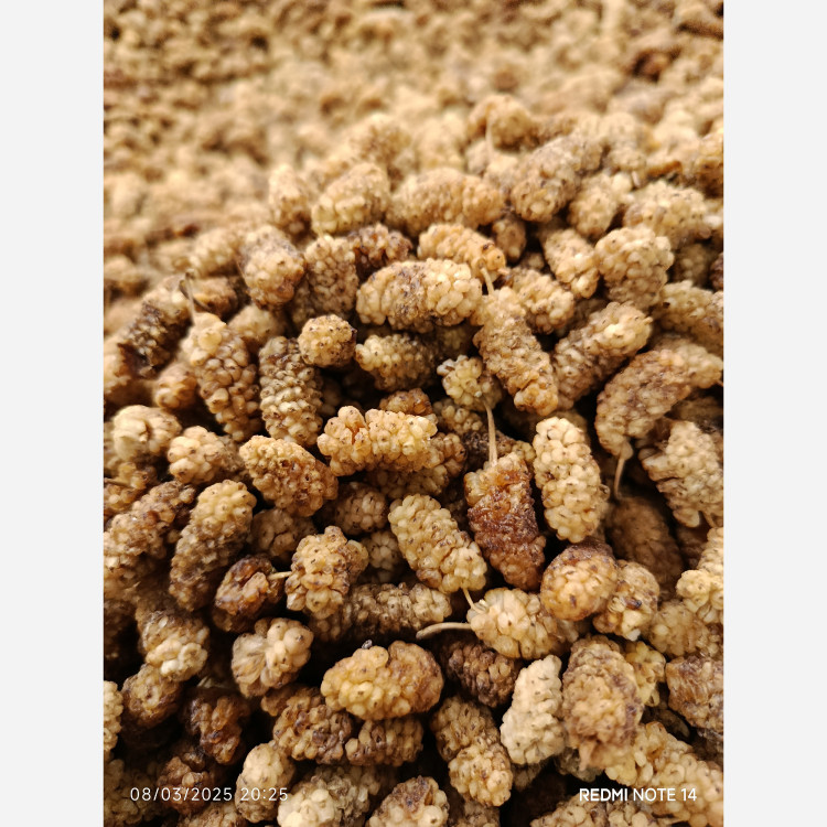 توت خشک درجه 1 (یک کیلویی)محصول1405