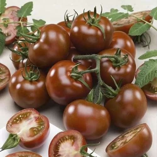 بذر گوجه فرنگی(کد4) شکلاتی(10 عددی)