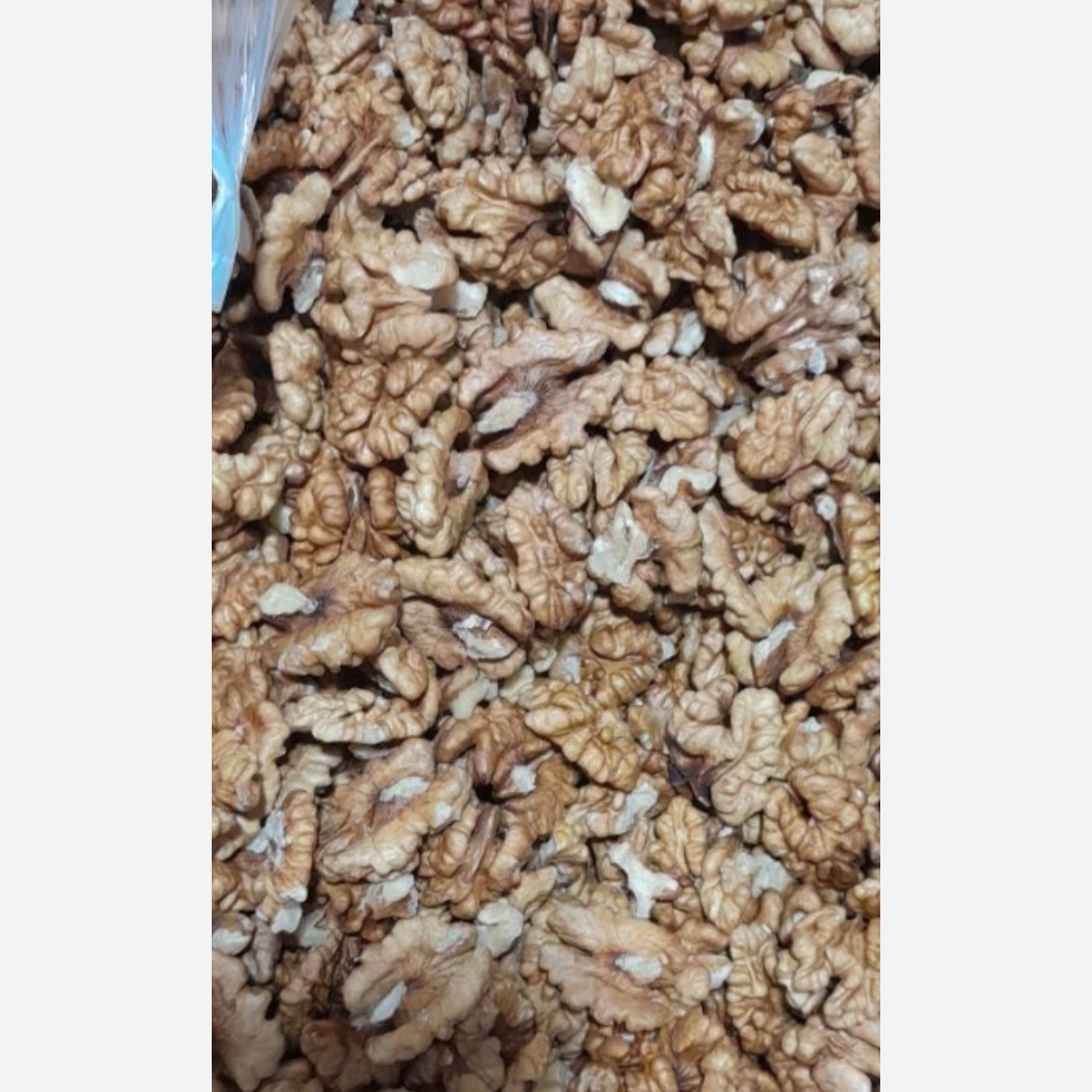 مغز گردوی اقتصادی (صبحانه)