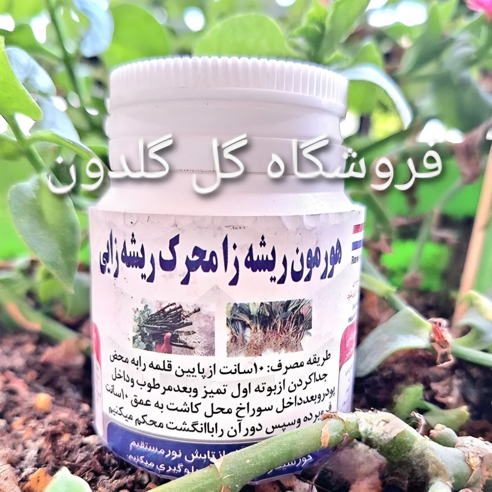 هورمون ریشه زایی پودری.برای قلمه زدن انواع گیاهان