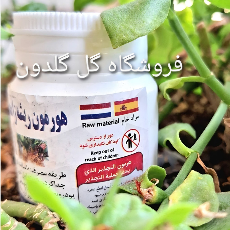 هورمون ریشه زایی پودری.برای قلمه زدن انواع گیاهان