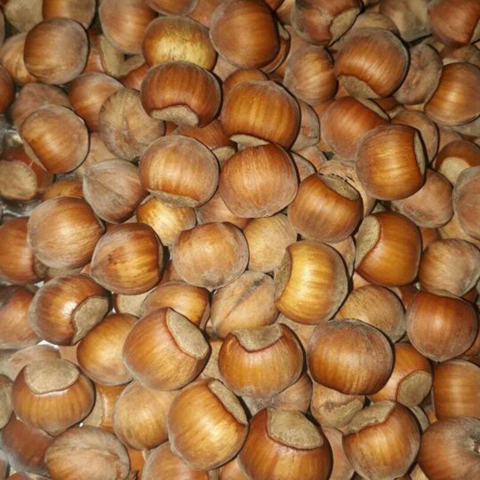 فندوق ت ییلاق اشکور گیلان(متوسط)