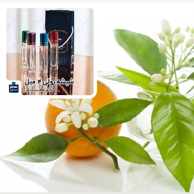 عطر خالص بهار نارنج (عطر گل بهار نارنج) حجم اسپری 5.5 میل ممتاز یا 4 میل خالص رولی