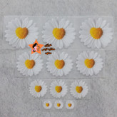 برچسب اتویی طرح بابونه قلبی سایز انتخابی