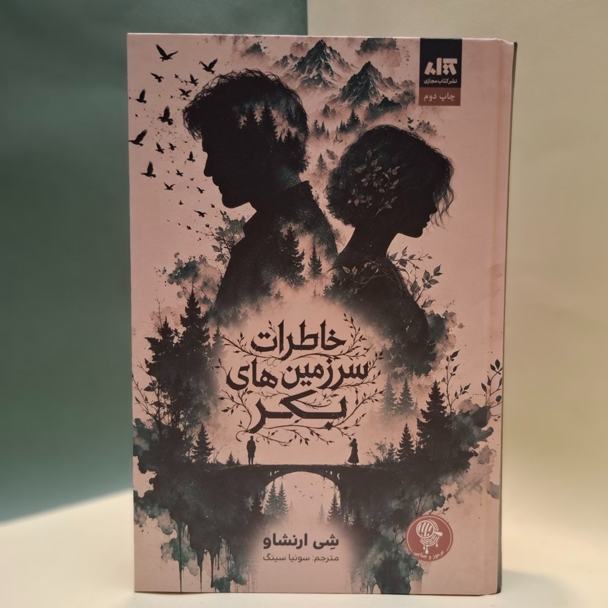 کتاب خاطرات سرزمین های بکر از شی ارنشاو نشر کتاب مجازی