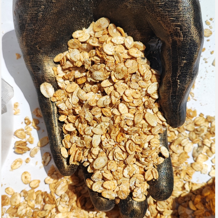 جودوسرپرک عسلی پرانرژی 500 گرمی (تولید روزانه)