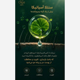 سرم مو تضمینی پرپشت کننده قوی الگا هیربوست Olga hair boost رشد مجدد ضدریزش مو