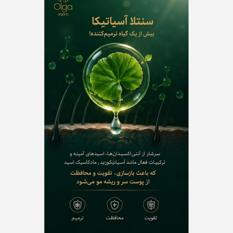 سرم مو تضمینی پرپشت کننده قوی الگا هیربوست Olga hair boost رشد مجدد ضدریزش مو