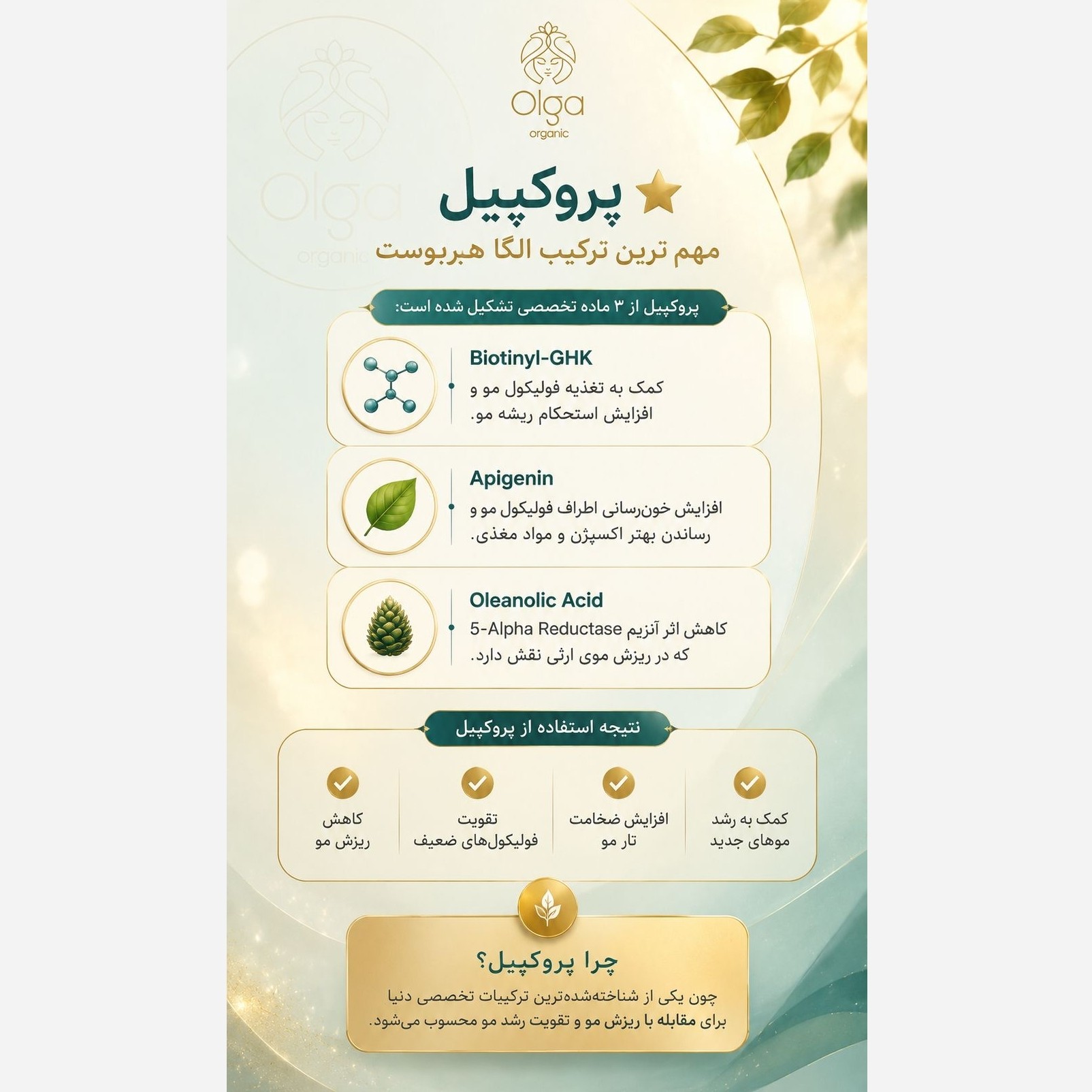 سرم مو تضمینی پرپشت کننده قوی الگا هیربوست Olga hair boost رشد مجدد ضدریزش مو