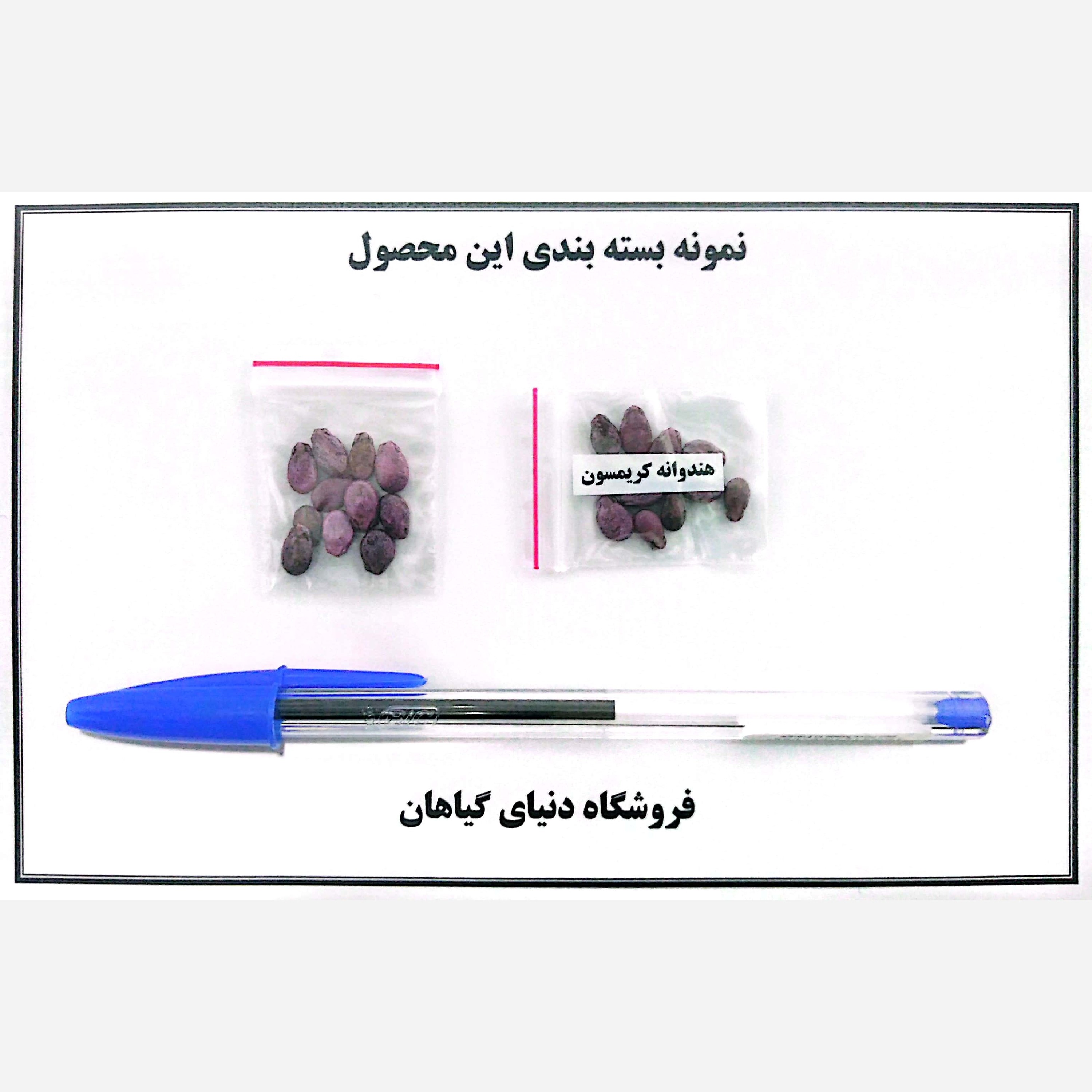 بذر هندوانه کریمسون (10 عدد)