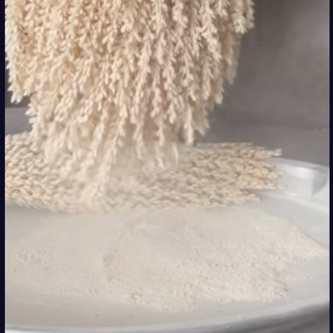 گرده نخل طبیعی100گرمی
