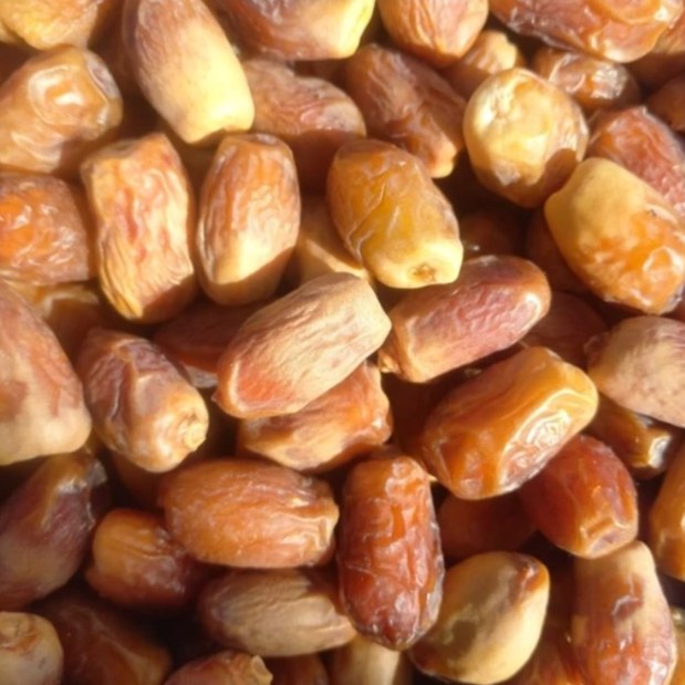 خرما قصب درجه یک صادراتی 100 گرمی 1405