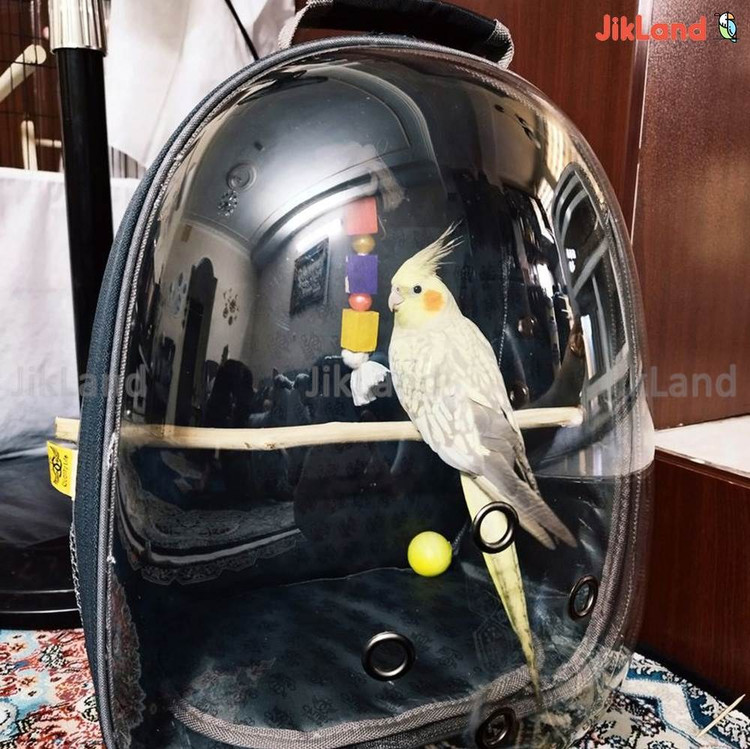کوله حمل عروس هلندی و کوله پرنده- سایز بزرگ (با افتخار پرفروش ترین کوله برای پرندگان در باسلام)