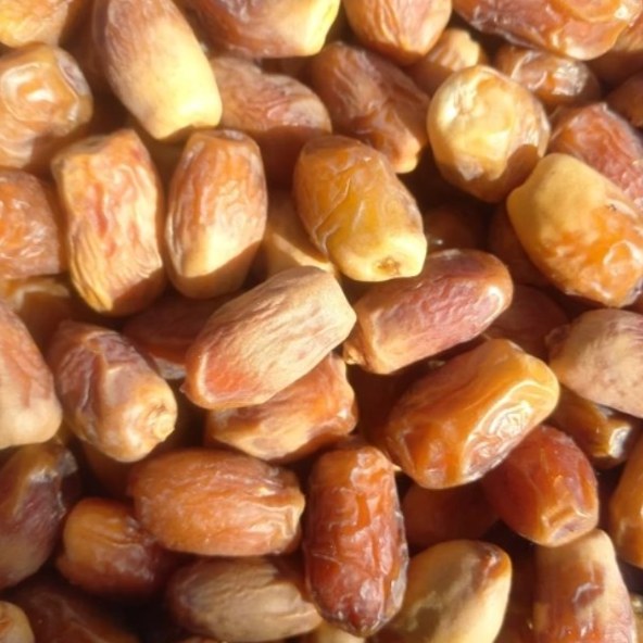 خرما زاهدی درجه یک صادراتی 500 گرمی 1405