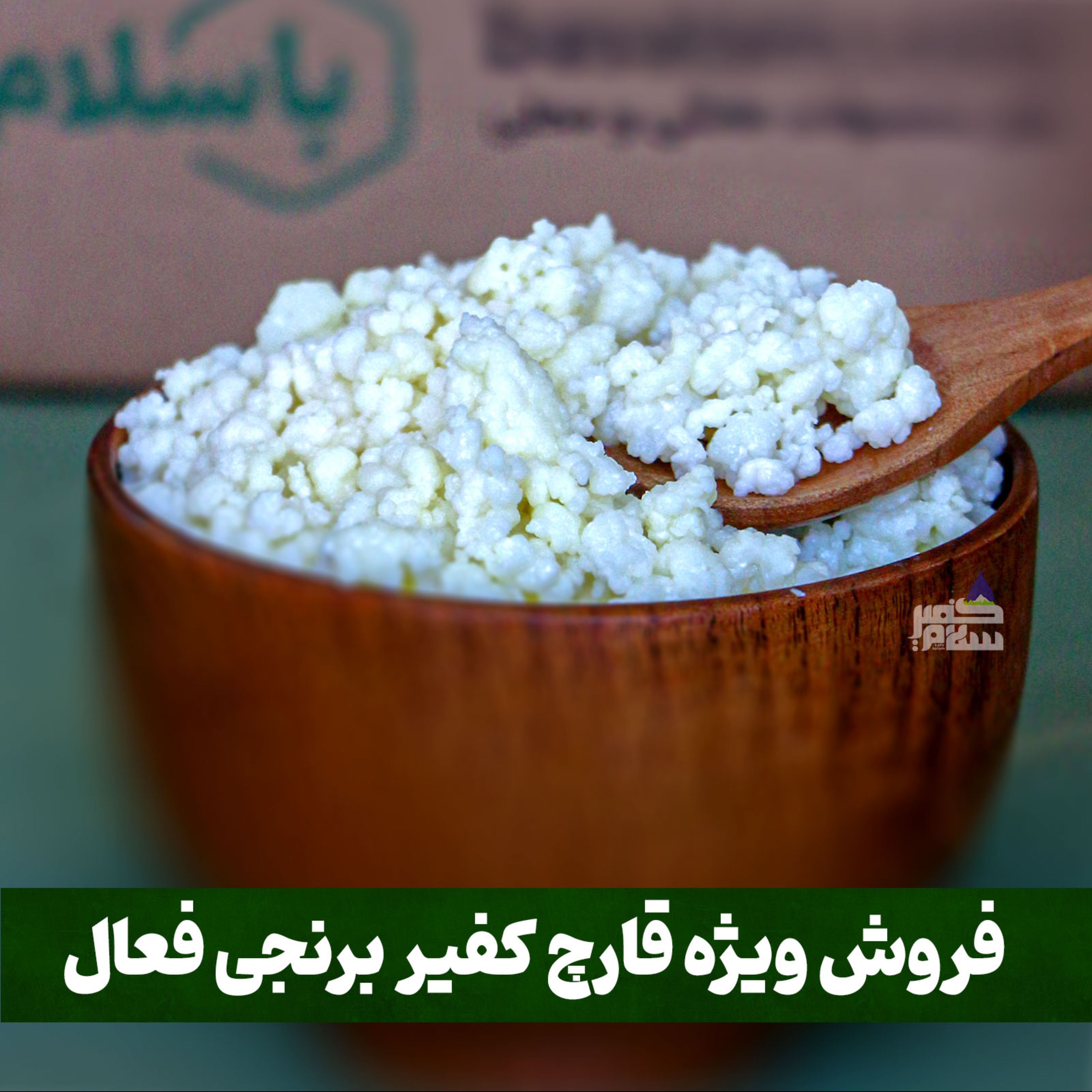 قارچ کفیر برنجی فعال (30 گرمی) به همراه 300 سی سی دوغ آموزش رایگان محصولات کفیر