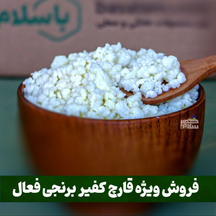 قارچ کفیر برنجی فعال (30 گرمی) به همراه 300 سی سی دوغ آموزش رایگان محصولات کفیر