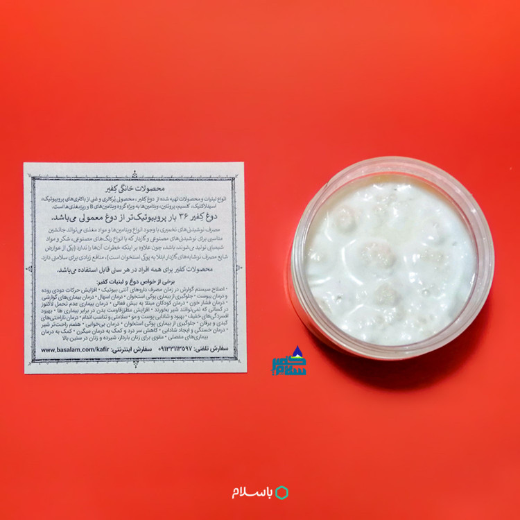 قارچ کفیر برنجی فعال (30 گرمی) به همراه 300 سی سی دوغ آموزش رایگان محصولات کفیر