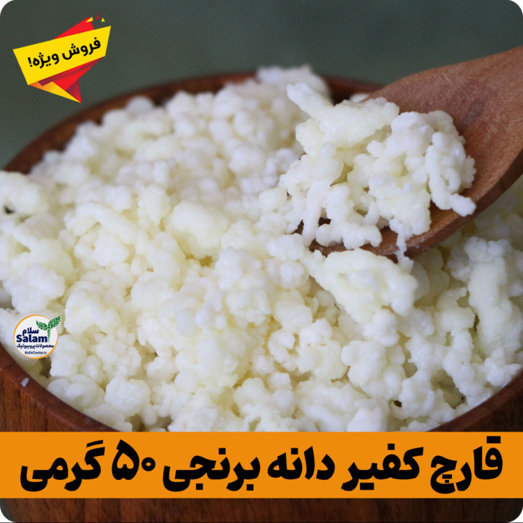 قارچ کفیر برنجی فعال (30 گرمی) به همراه 300 سی سی دوغ آموزش رایگان محصولات کفیر