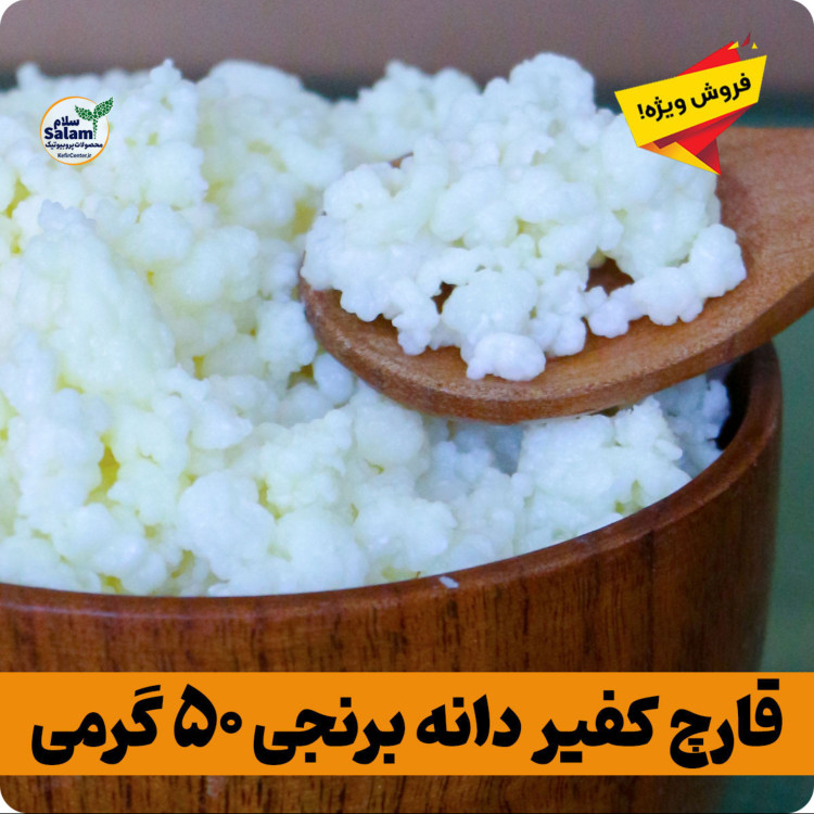 قارچ کفیر برنجی فعال (30 گرمی) به همراه 300 سی سی دوغ آموزش رایگان محصولات کفیر